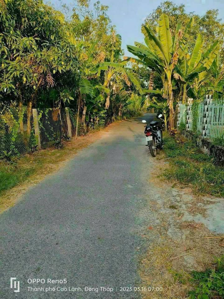 Đất nền mặt tiền đường Sông Tiên, Cao Lãnh 155m² - Vị trí đẹp, giá hấp dẫn!