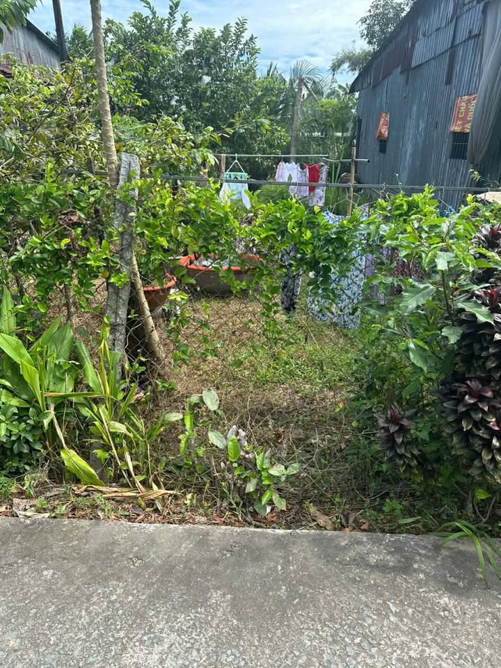 Đất nền Định An, Lai Vung, Đồng Tháp 102m² giá 500 triệu - Đầu tư sinh lời