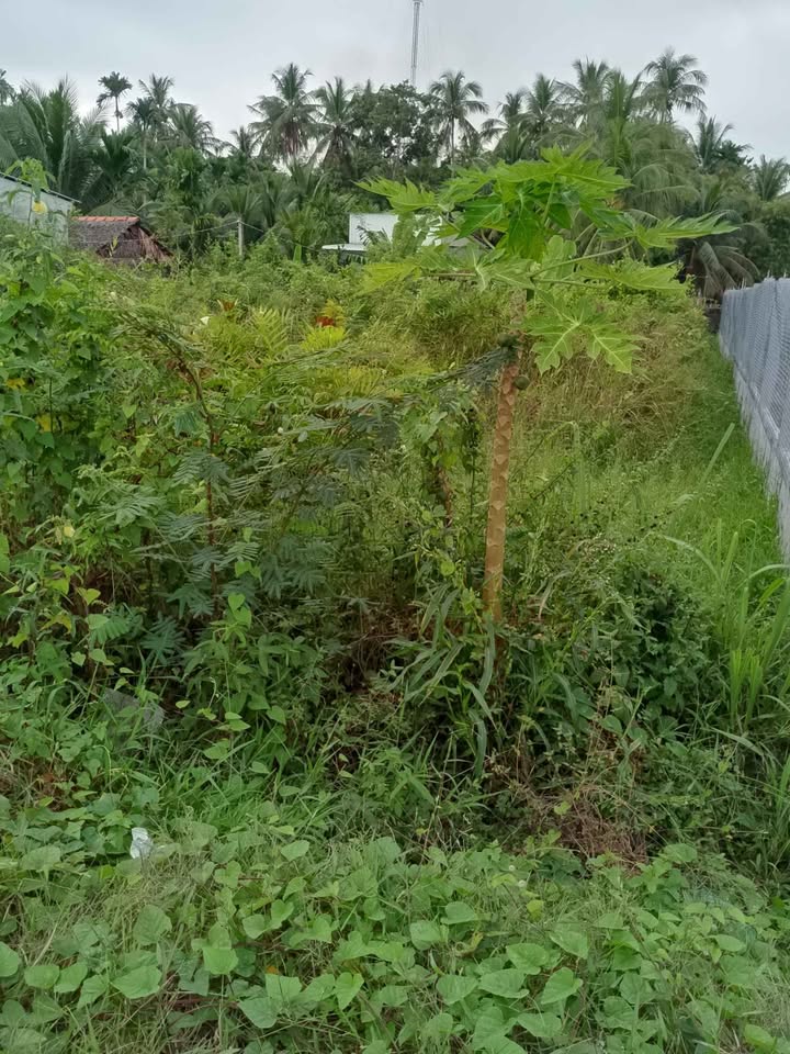 Đất nền mặt tiền đường ĐT 932, 270m² giá 1.1 tỷ - Đầu tư sinh lời ngay!