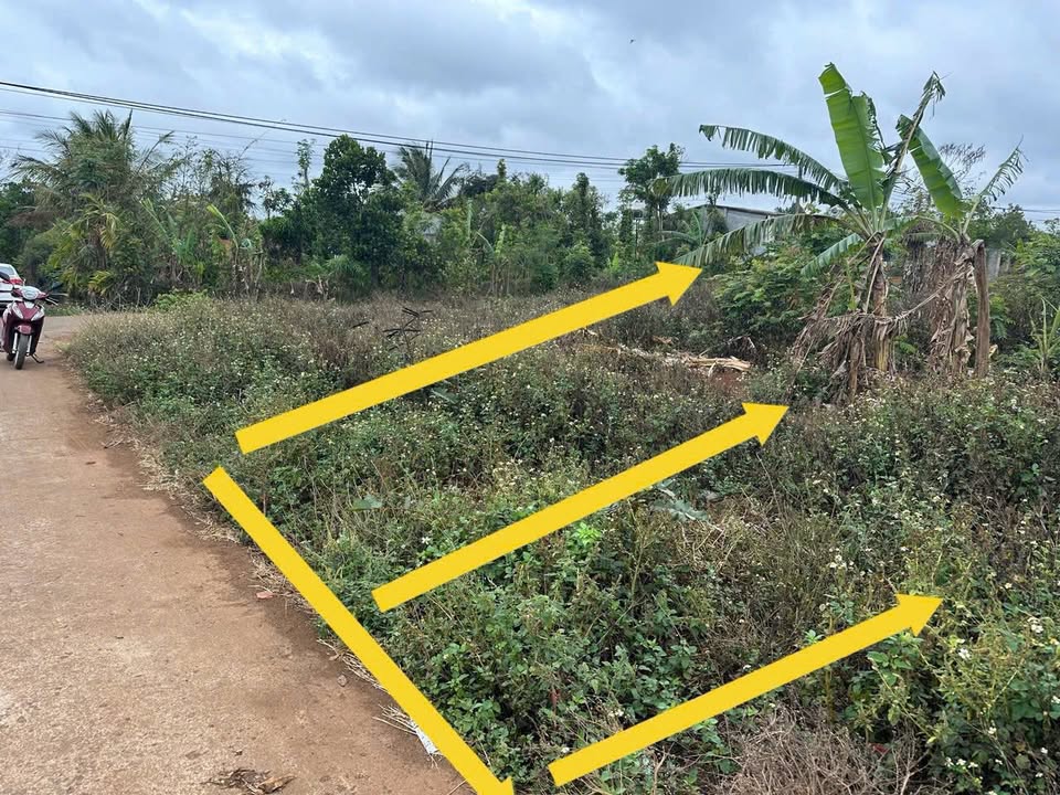 Đất thổ cư Ea Tiêu 128m² giá 300 triệu - Vị trí giao thông thuận lợi!