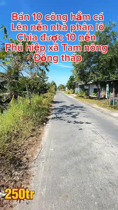 Đất nền Phú Hiệp, Tam Nông 9.490m² giá chỉ 2.5 tỷ - Cơ hội đầu tư hiếm có!