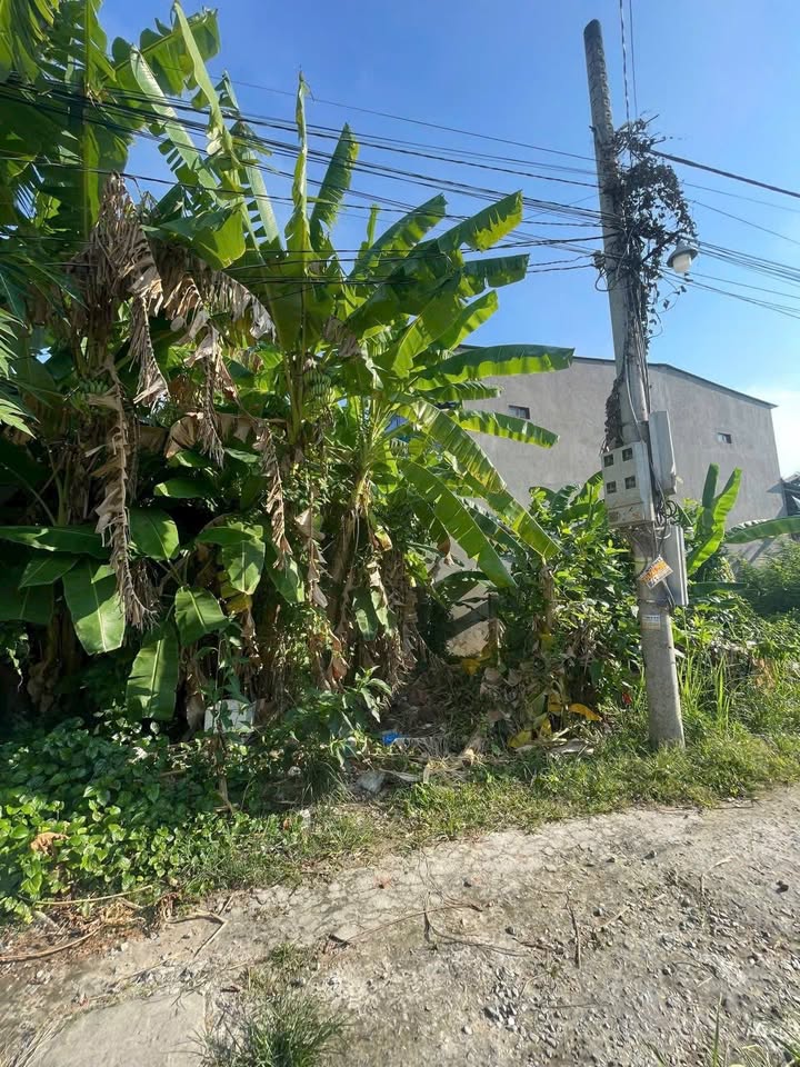 Đất nền 84m² tại Mỹ Tho, Tiền Giang - An ninh, hạ tầng hoàn chỉnh!