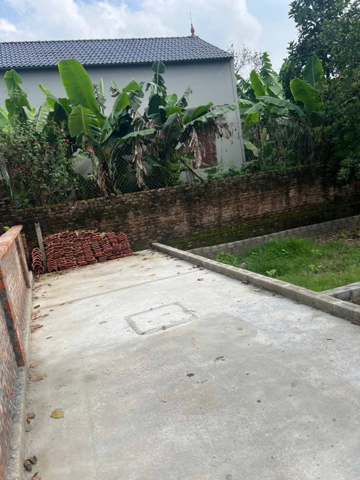 Đất Tự Nhiên Thường Tín 82.2m² giá 5.265 tỷ - Đầu tư sinh lời ngay!