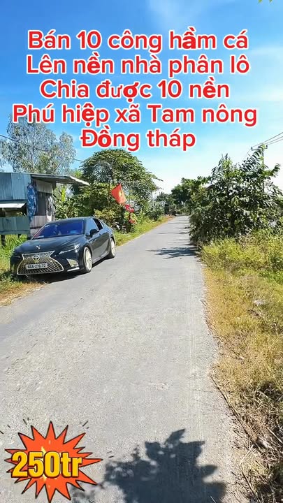 Đất nền Phú Hiệp, Tam Nông 13000m² - Cơ hội đầu tư tuyệt vời!
