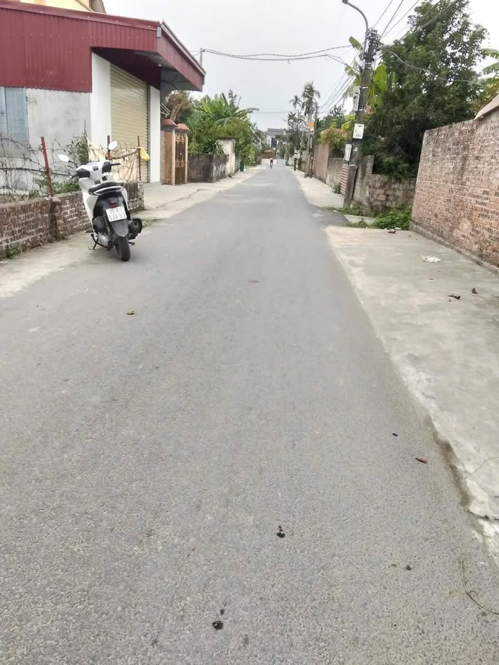 Đất nền Tân Hưng Vĩnh Bảo 133m² giá thỏa thuận - Đường lớn thông thoáng!