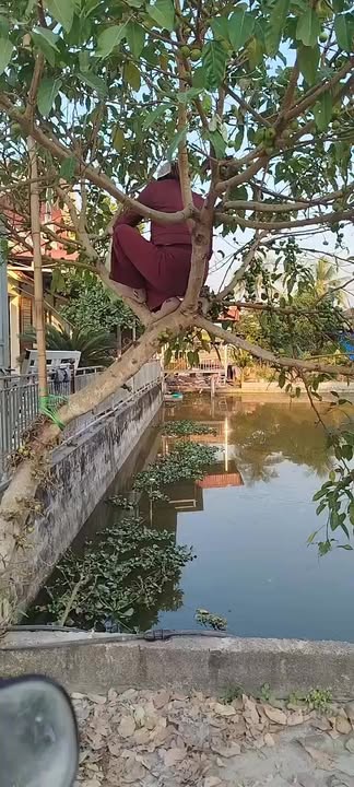 Đất nền Câu Thượng, An Lão 170m² giá 1.1 tỷ - Cơ hội đầu tư hiếm có!