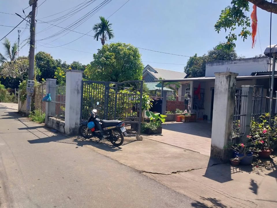 Nhà cấp 4 Hòa Long Bà Rịa 490m² giá 2.5 tỷ - Bán gấp trước Tết 2026!