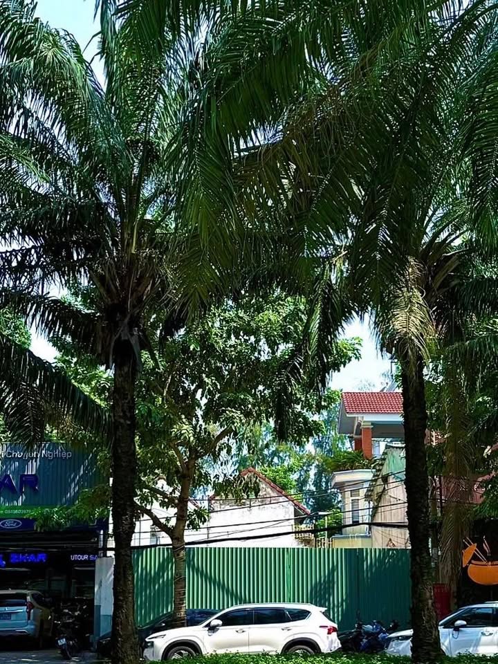 Đất nền mặt tiền đường Số 9A KDC Trung Sơn 198m² giá 53 tỷ - Đầu tư sinh lời cao!