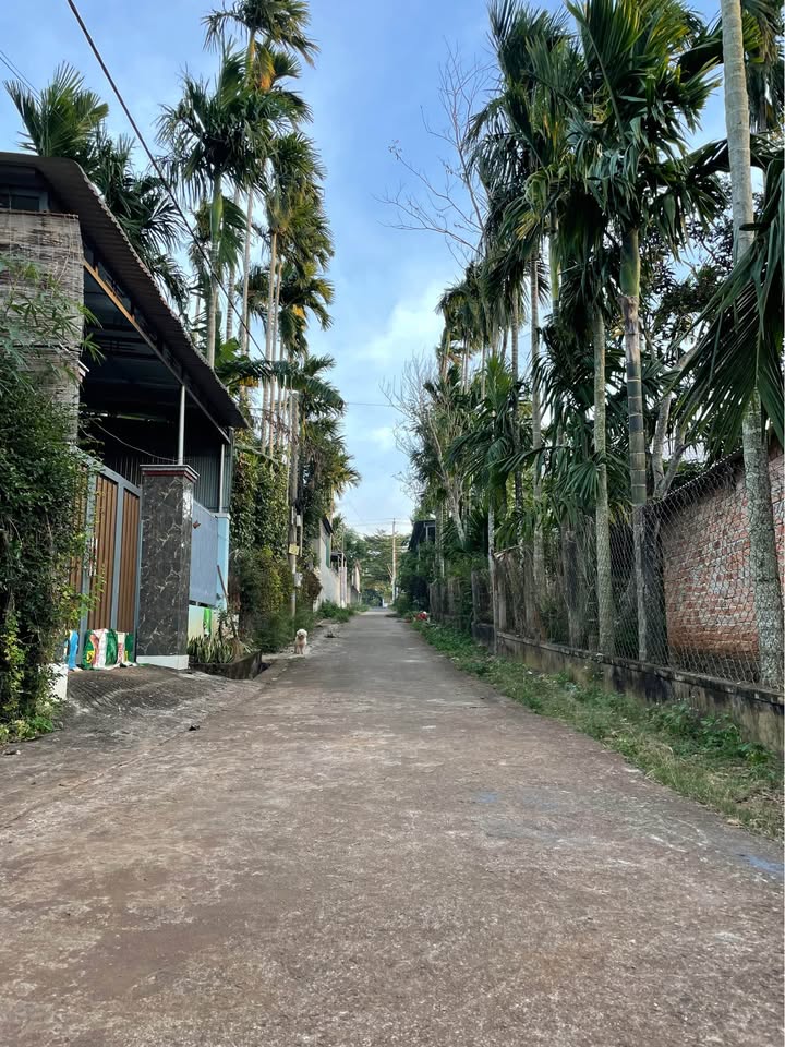 Đất thổ cư Thôn 6A EakTUR, Tân Lập 248m² giá 1 tỷ - Cơ hội đầu tư hấp dẫn!