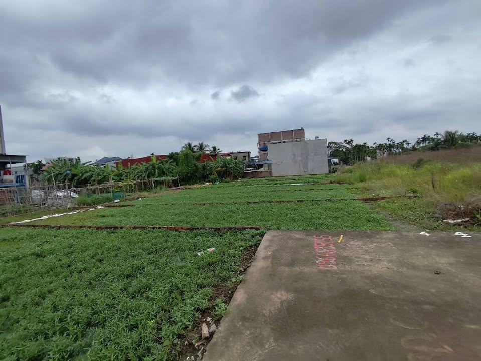 Đất nền lô góc Đấu Giá Kiến Phong, Đồng Thái 125m² giá 2.75 tỷ - Cơ hội đầu tư hấp dẫn!