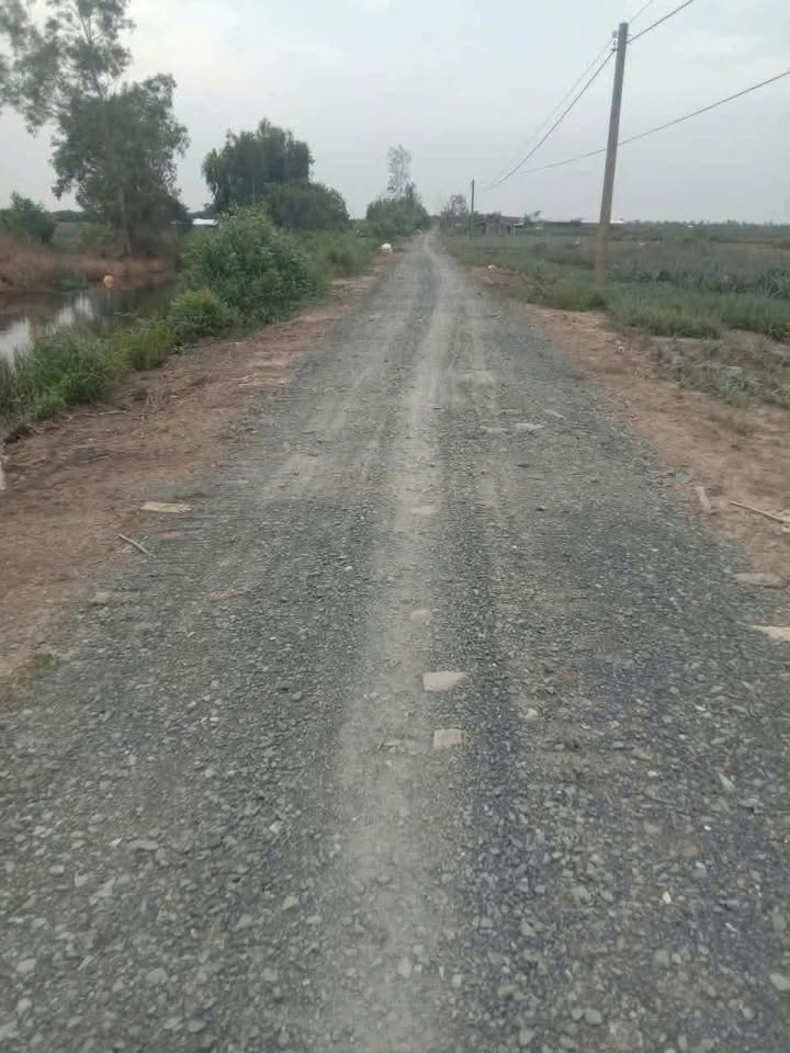 Đất Hưng Thạnh Tân Phước 10.000m² giá 1.7 tỷ - Sổ đỏ chính chủ, đường xe tải tới nơi!