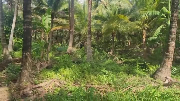 Đất nền mặt tiền đường Hồng Bàng, phường Bến Tre, 1089m² - Cơ hội đầu tư sinh lời!