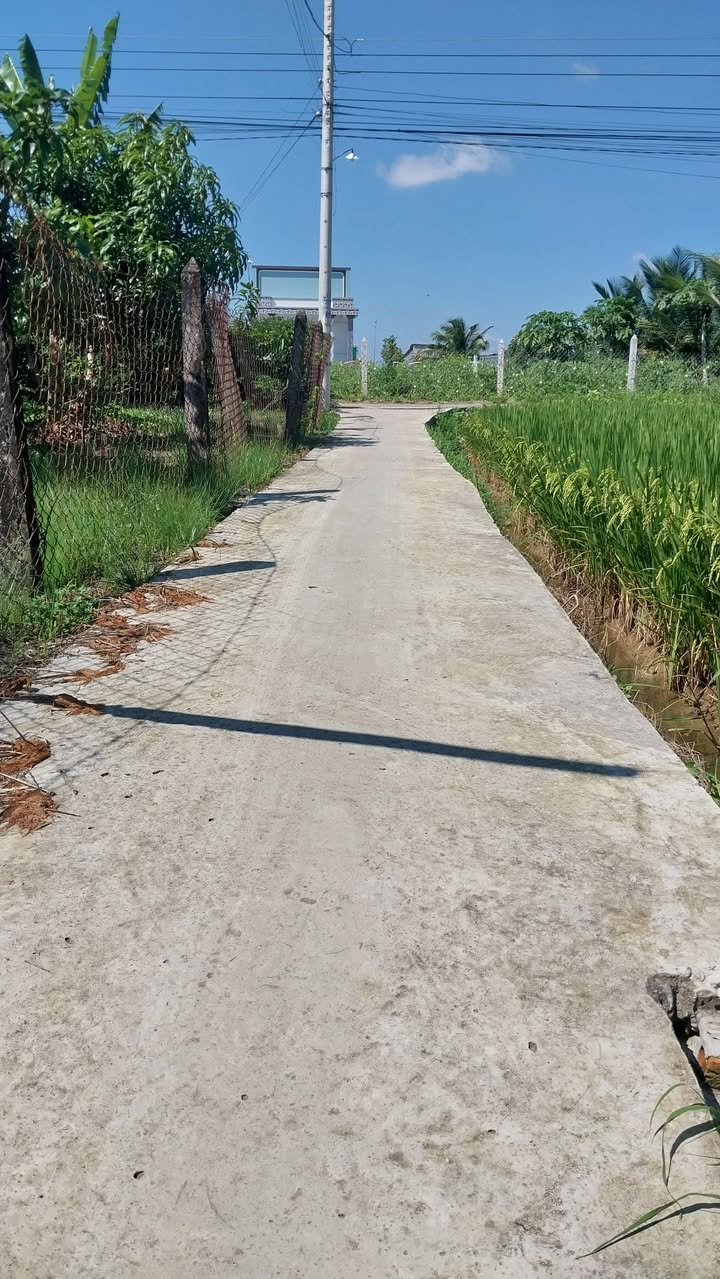 Đất nền xã Tân Tây, Gò Công 153m² giá chỉ 230 triệu - Cơ hội đầu tư tuyệt vời!