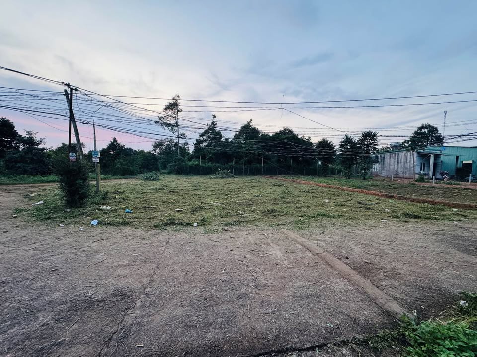 Đất mặt tiền đường Nguyễn Xuân Nguyên, Tân An 120m² chỉ 2.1 tỷ - Cơ hội vàng đầu tư!