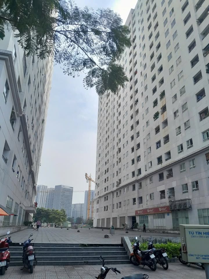 Căn hộ chung cư đẹp quận Bình Thạnh 61.5m² giá 3 tỷ - Sổ hồng chính chủ, công chứng ngay!