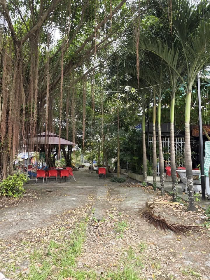 Đất nền Lấp Vò 76m² giá 1 tỷ - Vị trí đắc địa đối diện công ty Sao Mai