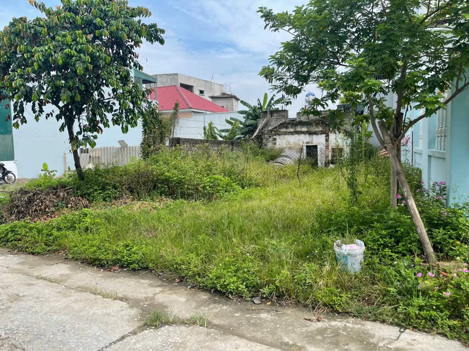 Đất vàng Tân Thượng, Tân Phong 177.5m² giá 2.2 tỷ - Cơ hội đầu tư sinh lời!