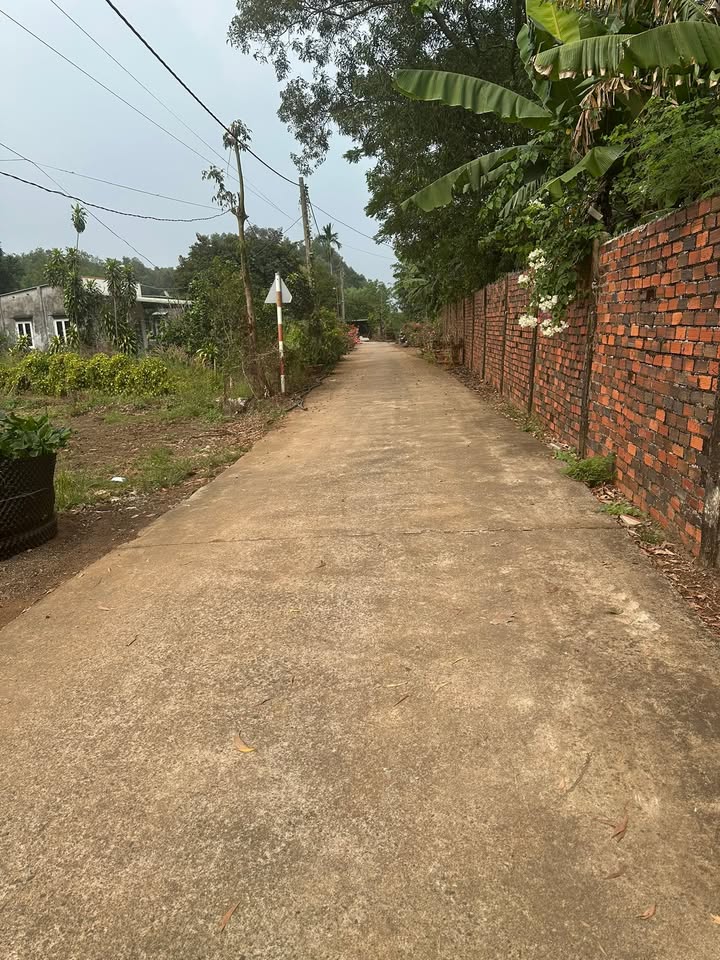 Đất nền Bình Giã 390m² giá 1.35 tỷ - Sổ đỏ chính chủ, vị trí đắc địa!