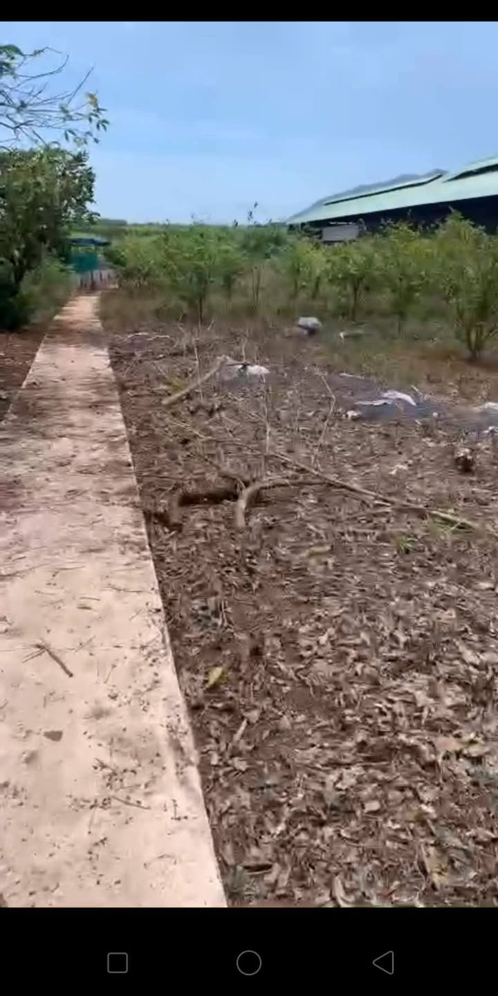 Đất nền xã Châu Pha, Phú Mỹ 3600m² giá 5 tỷ - Tiềm năng đầu tư lớn!