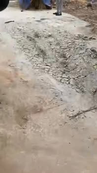 Đất nền Tứ Trưng Vĩnh Tường 80m² giá 1.6 tỷ - Cơ hội đầu tư hấp dẫn!