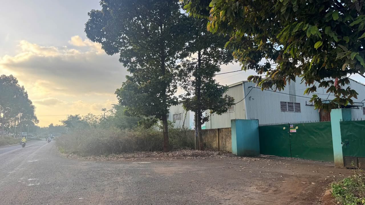 Kho 9650m² khu công nghiệp Tân An giá 27 tỷ - Cơ hội đầu tư đắc địa!