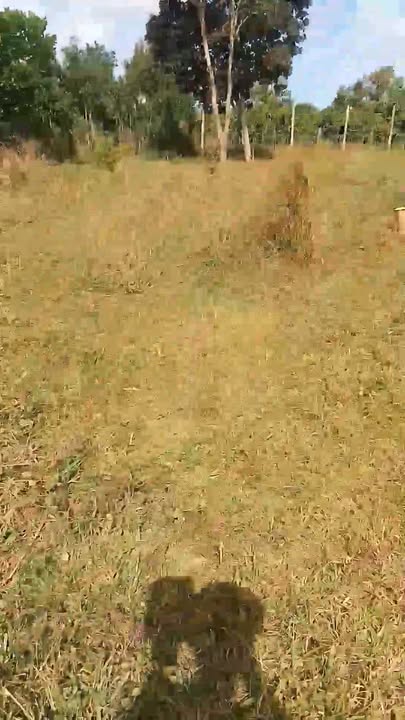 Đất nền Chư Sê 2000m² giá 190 triệu - Cơ hội đầu tư tuyệt vời!