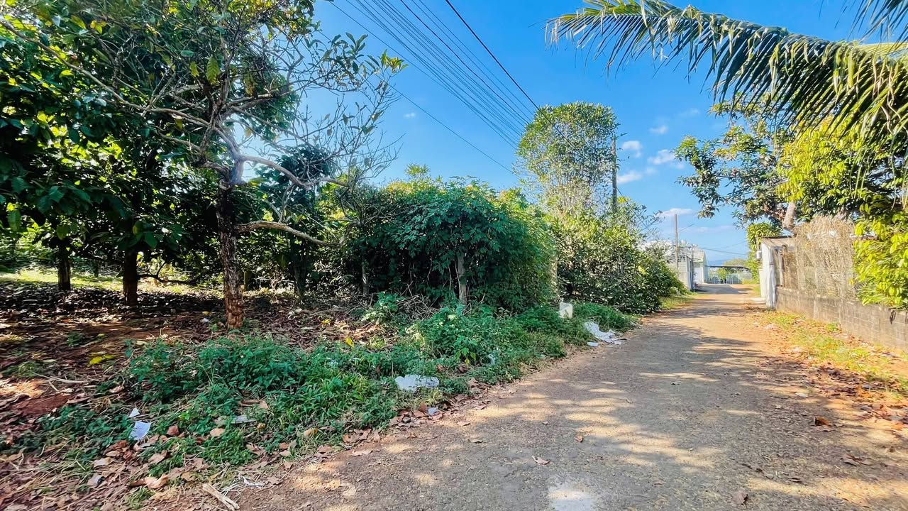 Đất nền Hẻm 07 Lương Đình Của, Phường Hội Phú, 200m² giá 1.9 tỷ - Đầu tư sinh lời ngay!