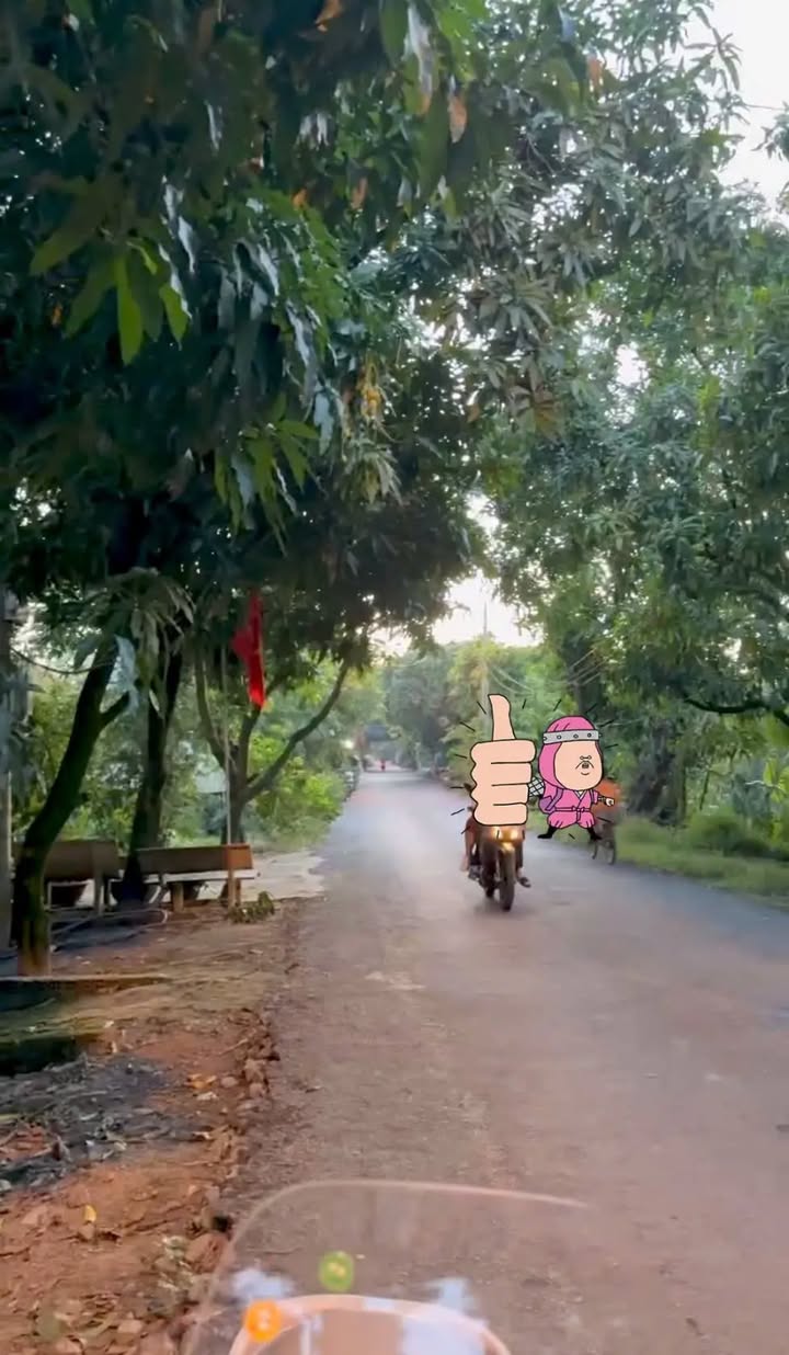 Đất nền Hòa Tây, Phường Cao Lãnh, 80m² giá chỉ 900 triệu - Cơ hội đầu tư lý tưởng!