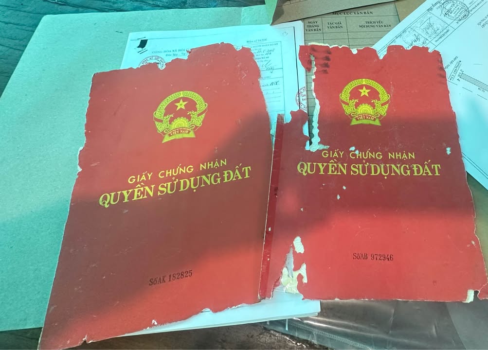 Đất nền Thắng Lợi, Pleiku 145m² giá 800 triệu - Cơ hội đầu tư tuyệt vời!