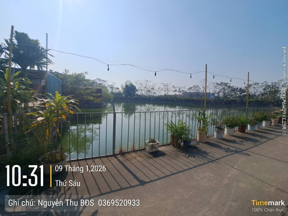 Nhà 3 tầng lô góc 81.2m² tại Yên Trung, Bắc Ninh - Bán gấp, ô tô thông