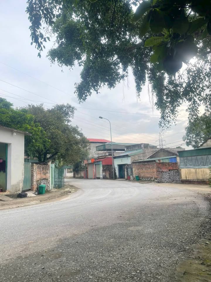 Đất nền P Hàm Rồng - Đường Phượng Hoàng 42m² giá 700 triệu - Đầu tư sinh lời ngay!