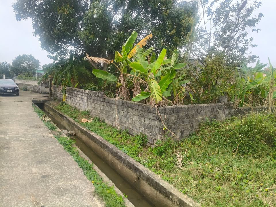 Đất thổ cư Tân Đại, Nông Cống 243m² giá 5 tỷ - Đầu tư sinh lời ngay!