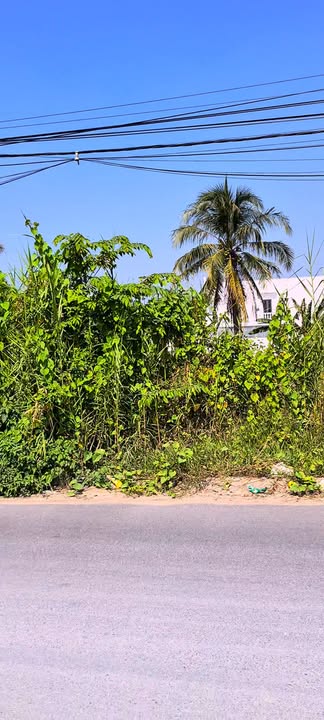 Đất mặt tiền Đoàn Thị Nghiệp, TP. Mỹ Tho, 75m² giá 2 tỷ - Đầu tư sinh lời ngay!