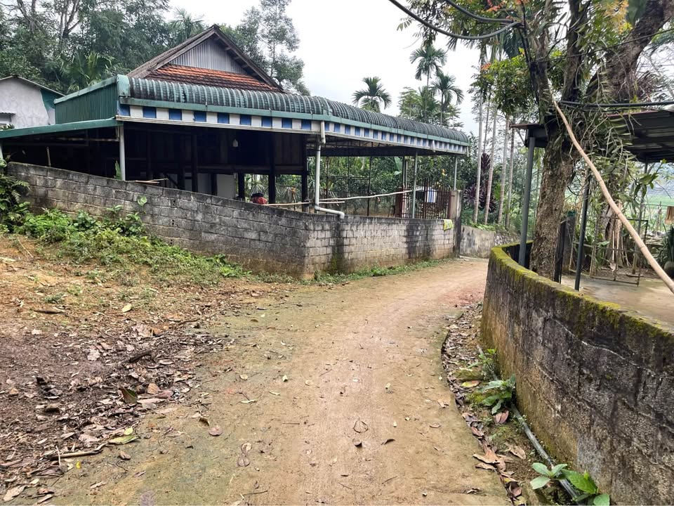 Đất thổ cư 365m² tại Gia Mô, Tân Lạc - Giá chỉ 300 triệu