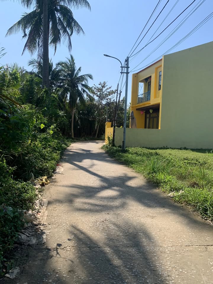 Đất nền Cẩm Thanh, Hội An 154m² giá 3 tỷ - Thích hợp đầu tư homestay!