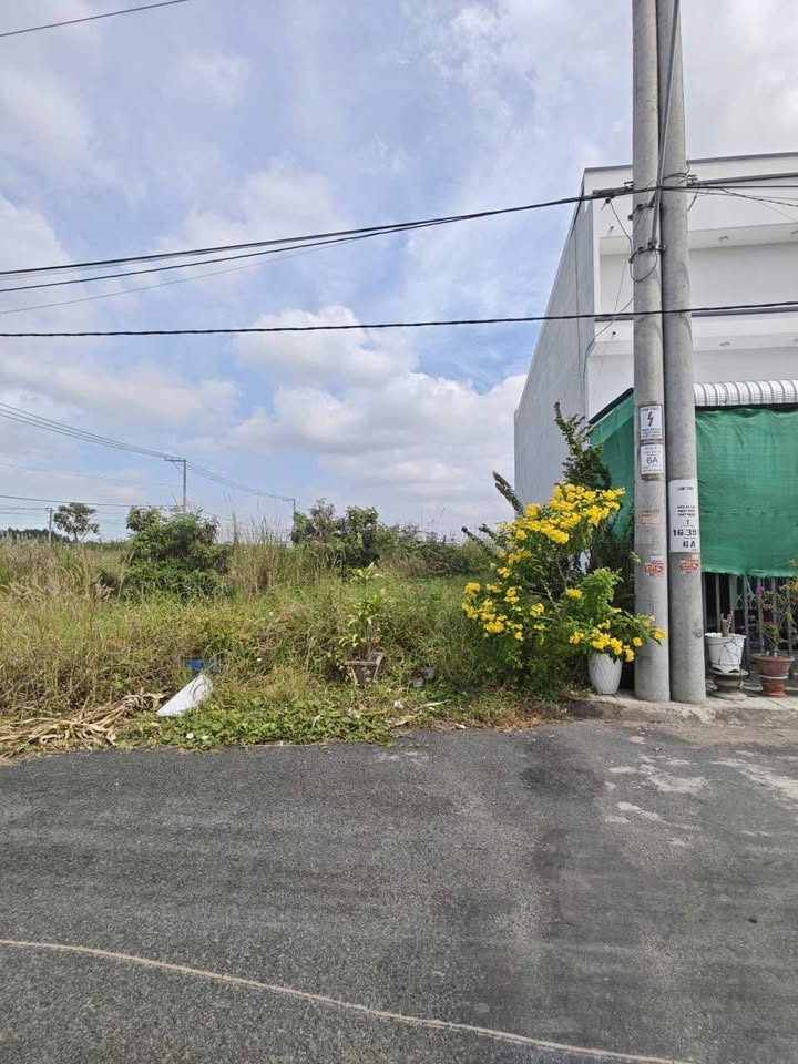 Đất nền đẹp Mỹ Phước, Long Xuyên 63m² chỉ 1 tỷ - Đầu tư sinh lời hấp dẫn!