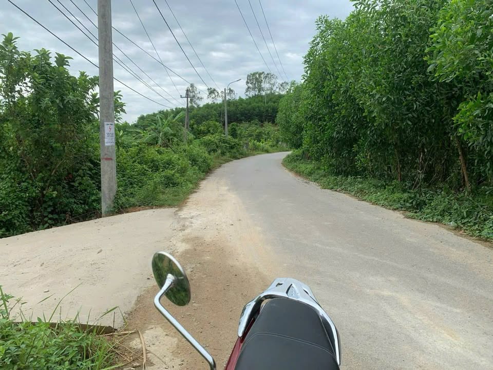 Đất vườn 1000m² tại Hòa Vang, Đà Nẵng - Pháp lý rõ ràng, giá chỉ 600 triệu!