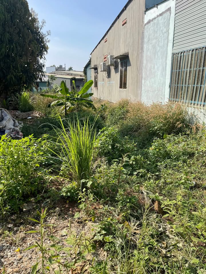 Đất nền Tân Đồng, Đồng Xoài 150m² giá 1 tỷ - Cơ hội đầu tư lý tưởng!