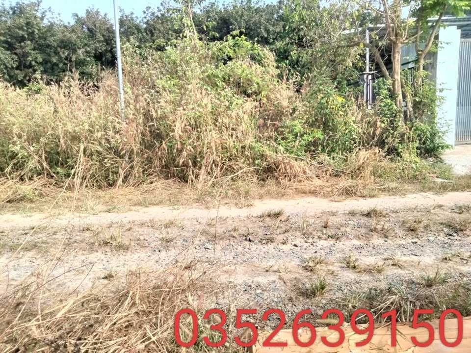 Đất thổ cư Hắc Dịch Phú Mỹ 400m² giá 2.05 tỷ - Đầu tư sinh lời ngay!