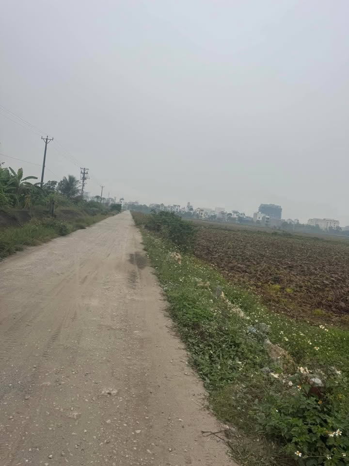 Đất nền Trác Văn, Duy Tiên 100m² giá 2.3 tỷ - Tiềm năng sinh lời cao!