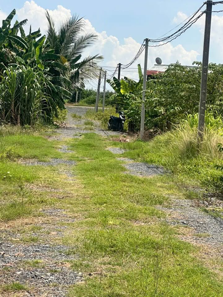 Đất thổ cư Suối Đá, Dương Minh Châu, Tây Ninh 210m² - Cơ hội đầu tư tuyệt vời!