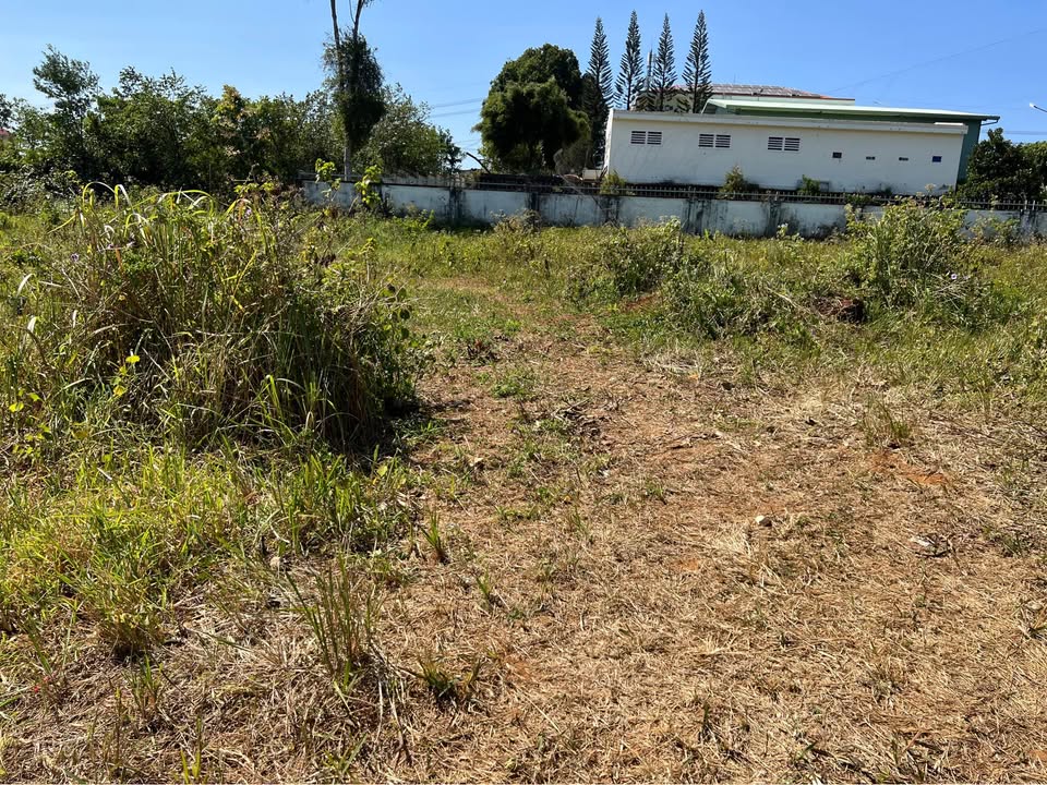 Đất nền 500m² tại Phường Nghĩa Trung, Gia Nghĩa - Giá chỉ 55 tỷ, cơ hội đầu tư tuyệt vời!