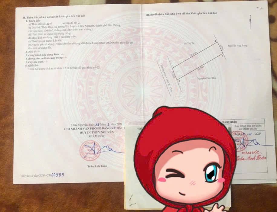 Đất nền Thôn Rúp, Trung Hà, Thủy Nguyên 100m² - Vị trí siêu đẹp, gần chợ và trường học!