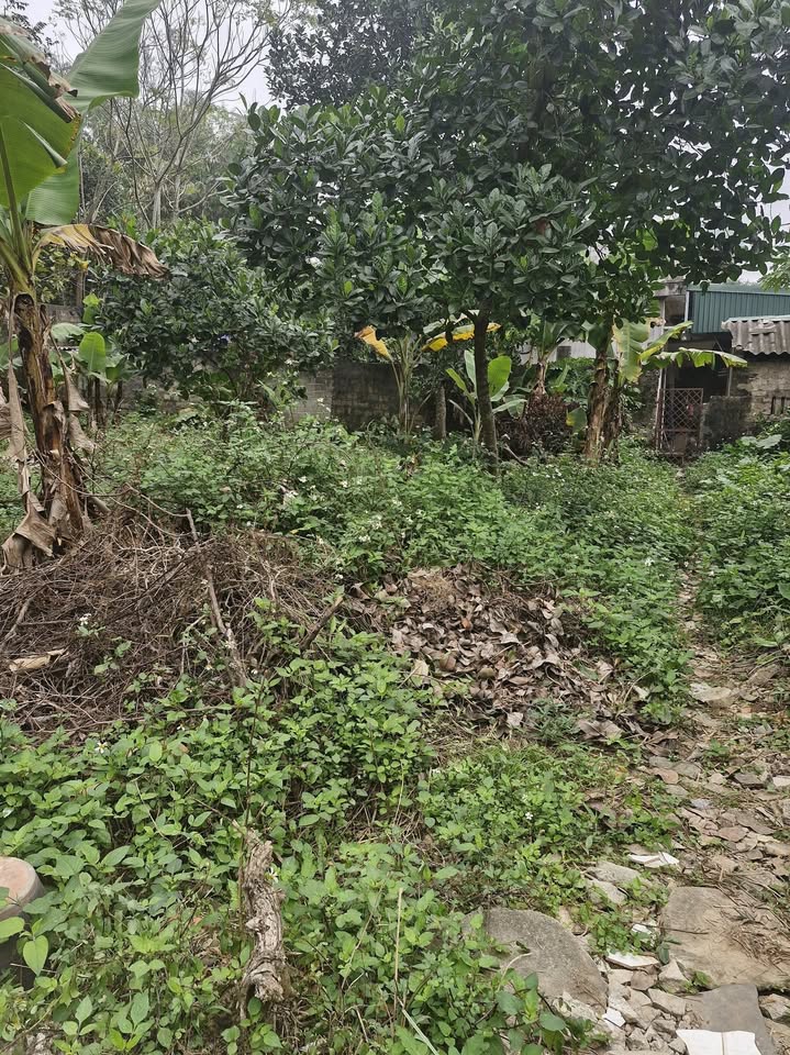 Đất nền Ngọc Trạo, Bỉm Sơn 130m² giá 1.3 tỷ - Cơ hội đầu tư tốt!