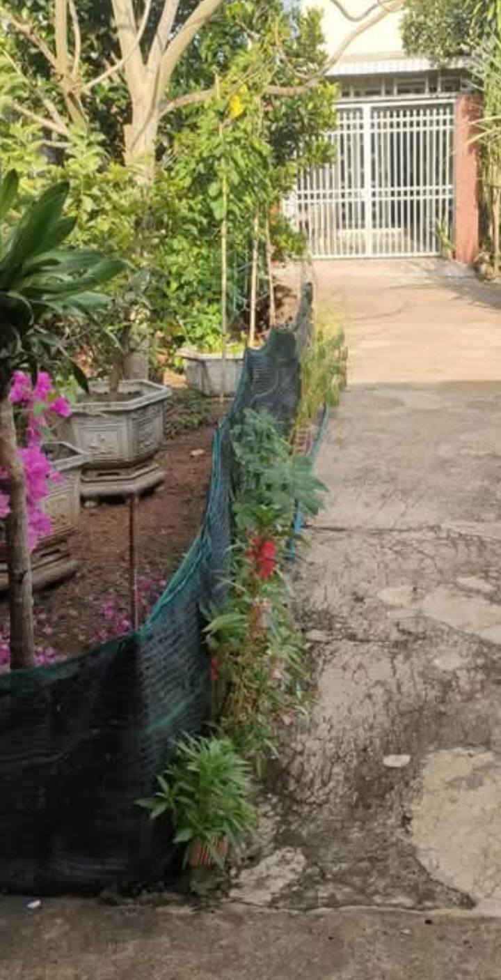 Nhà cấp 4 Vĩnh Tân, Vĩnh Cửu 204m² giá 650 triệu - Cần bán gấp trước Tết!