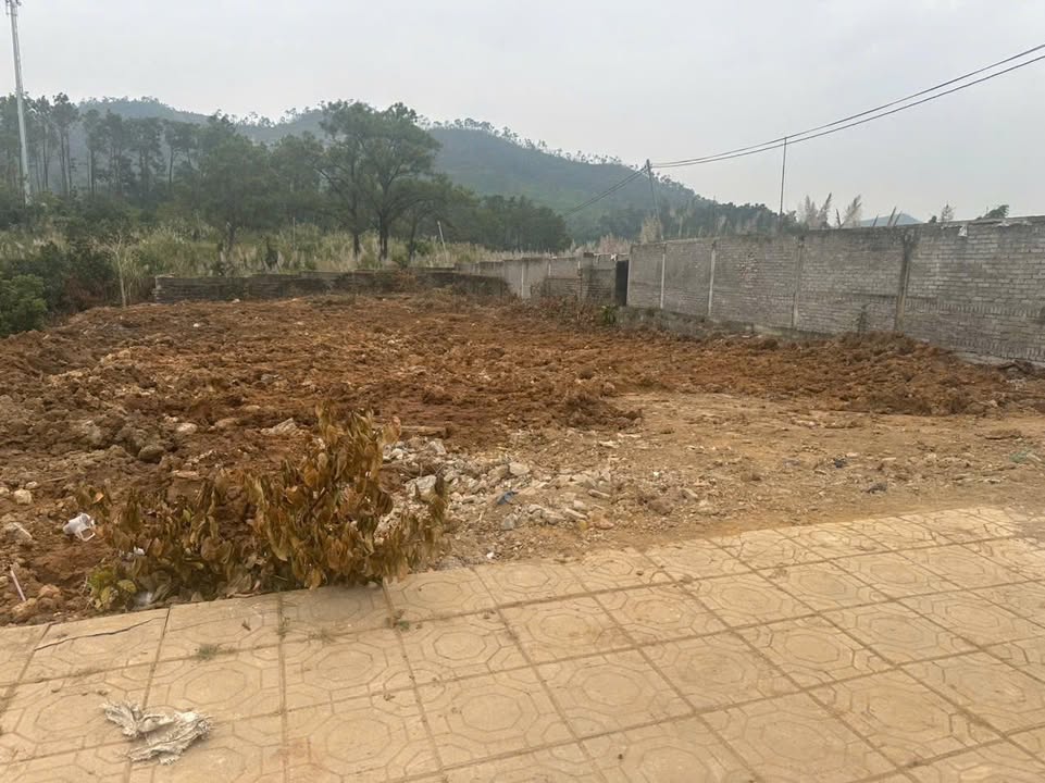 Đất mặt tiền đường chính Việt Hưng 1269m² giá chỉ 9 triệu/m² - Cơ hội đầu tư vàng!