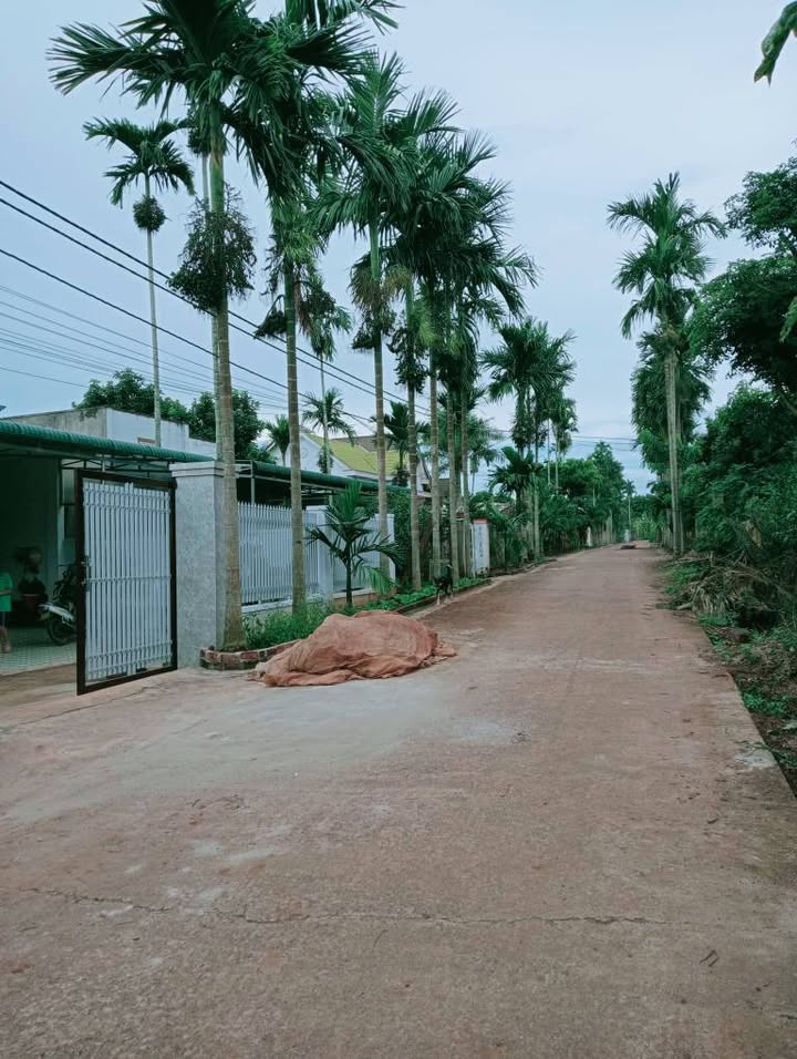 Lô đất thổ cư Ea Tiêu 120m² giá 780 triệu - Vị trí đắc địa gần sân bay!