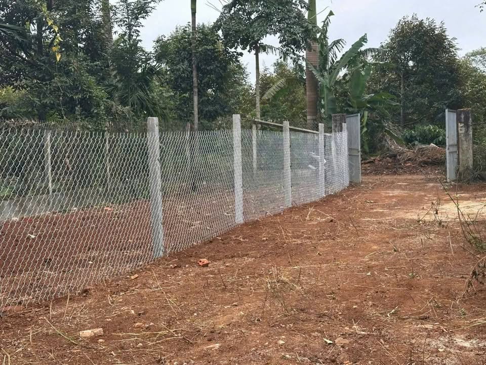 Đất thổ cư Tân An, Buôn Ma Thuột 115m² giá 1.69 tỷ - Cơ hội đầu tư tuyệt vời!