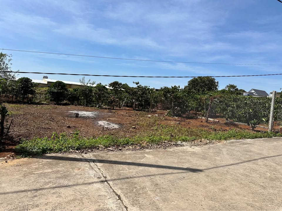 Đất thổ cư 115m² tại Cư Xá Khu Cổng Vàng - Giá chỉ 1.45 tỷ!