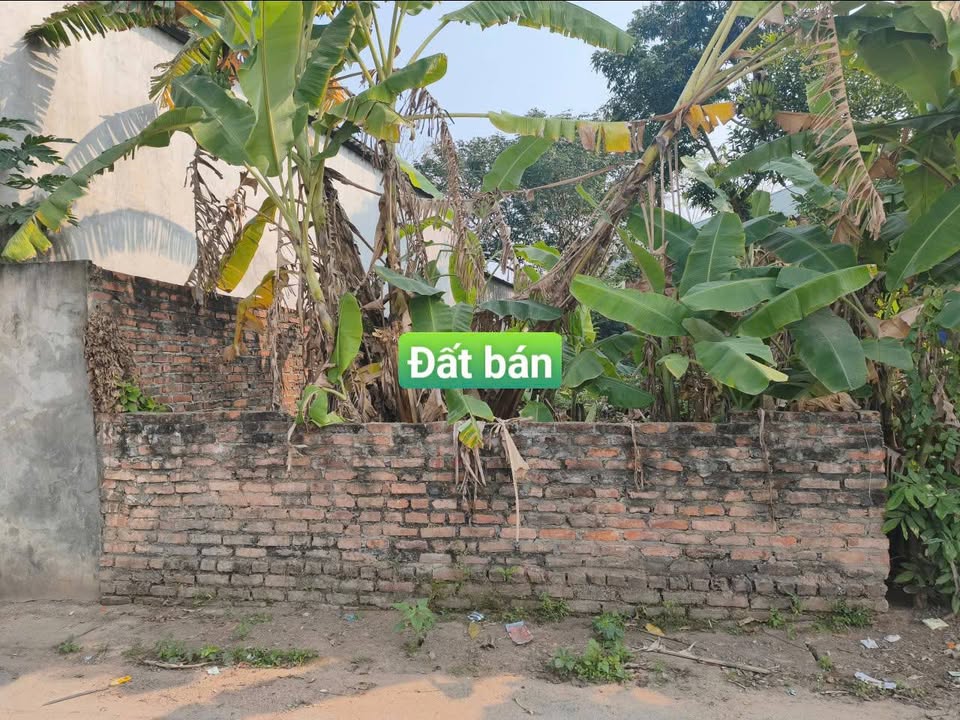 Nhà bán TDP Đông Quý, Đồng Tâm, Vĩnh Yên 60m² giá 1.4 tỷ - View vườn hoa thoáng đẹp!